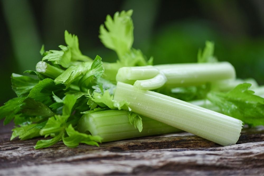 Celery Brings a Crisp, Strong Flavor to Meals, image of celery