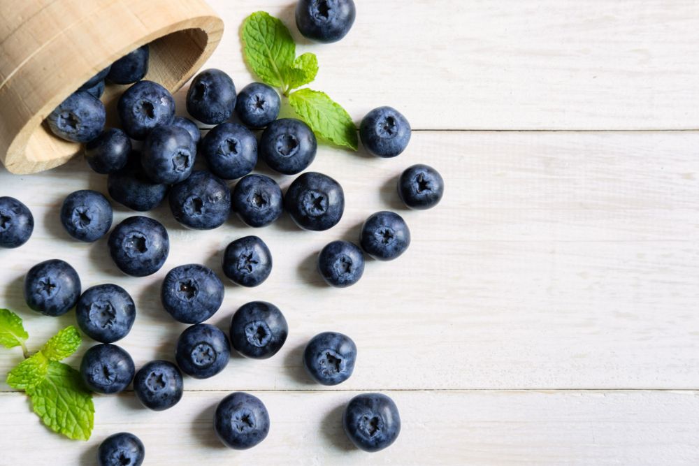 Bilberries: Herbal Remedy Rich in Antioxidants, image of bilberries