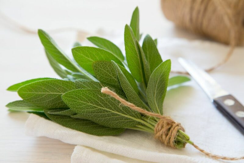 Sage: Clarity for Body and Mind, image of sage