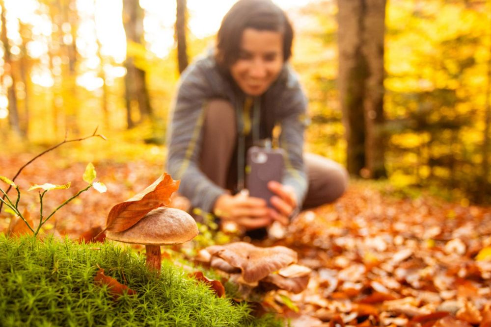 Image of woman taking a picture of mushrooms on her phone